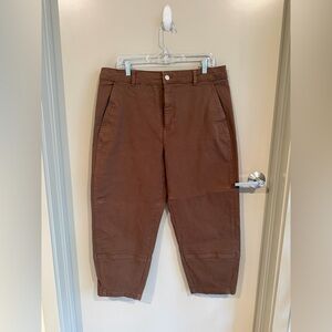 Everlane Women’s Barrel-Leg Utility Pants in Cocoa - size 16